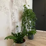 Dimora D'aumale 아파트 *