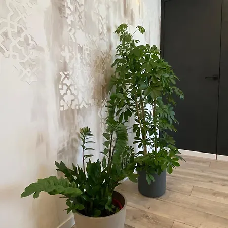 Dimora D'aumale Apartment *